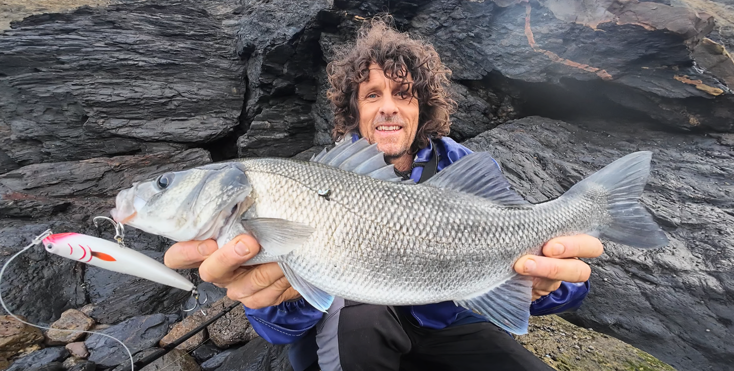 Waylander - Wayward 120 LF Minnow (sin plomo)