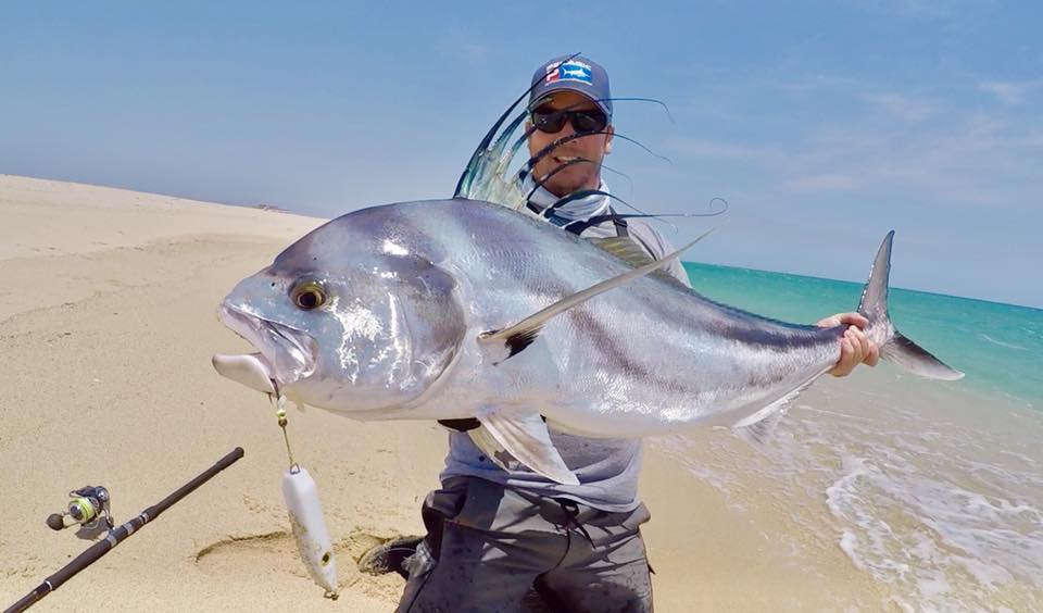 Fat Minnow - Samson Lures