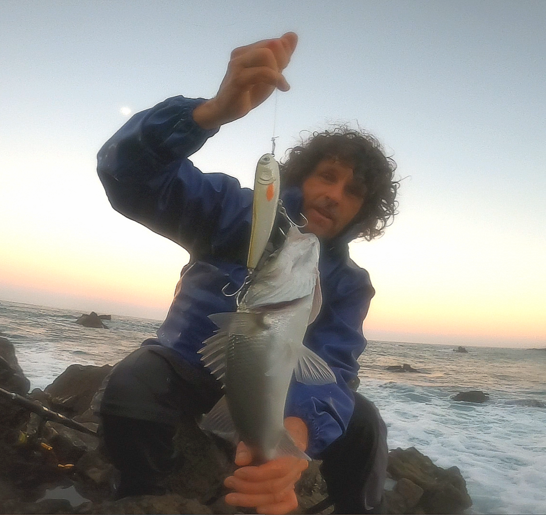 Waylander - Wayward 120 LF Minnow (sin plomo)