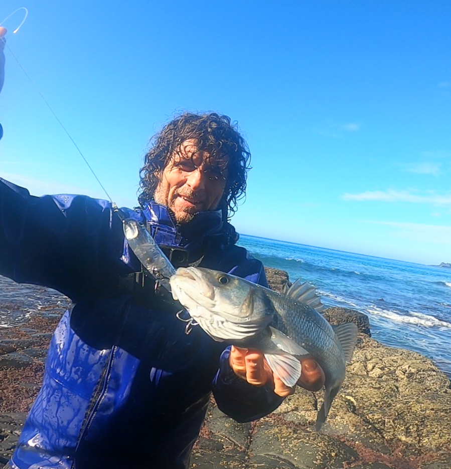 Waylander - Wayward 120 LF Minnow (sin plomo)