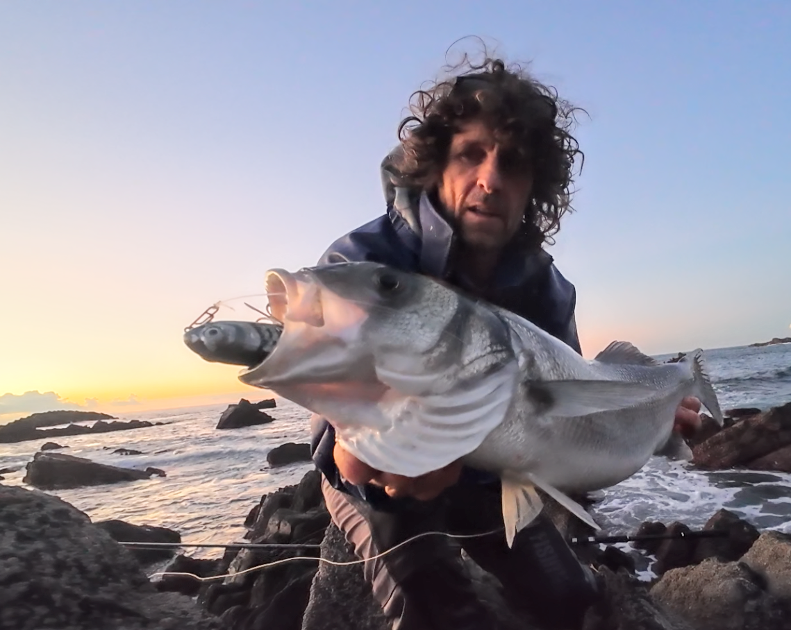 Waylander - Wayward 120 LF Minnow (sin plomo)