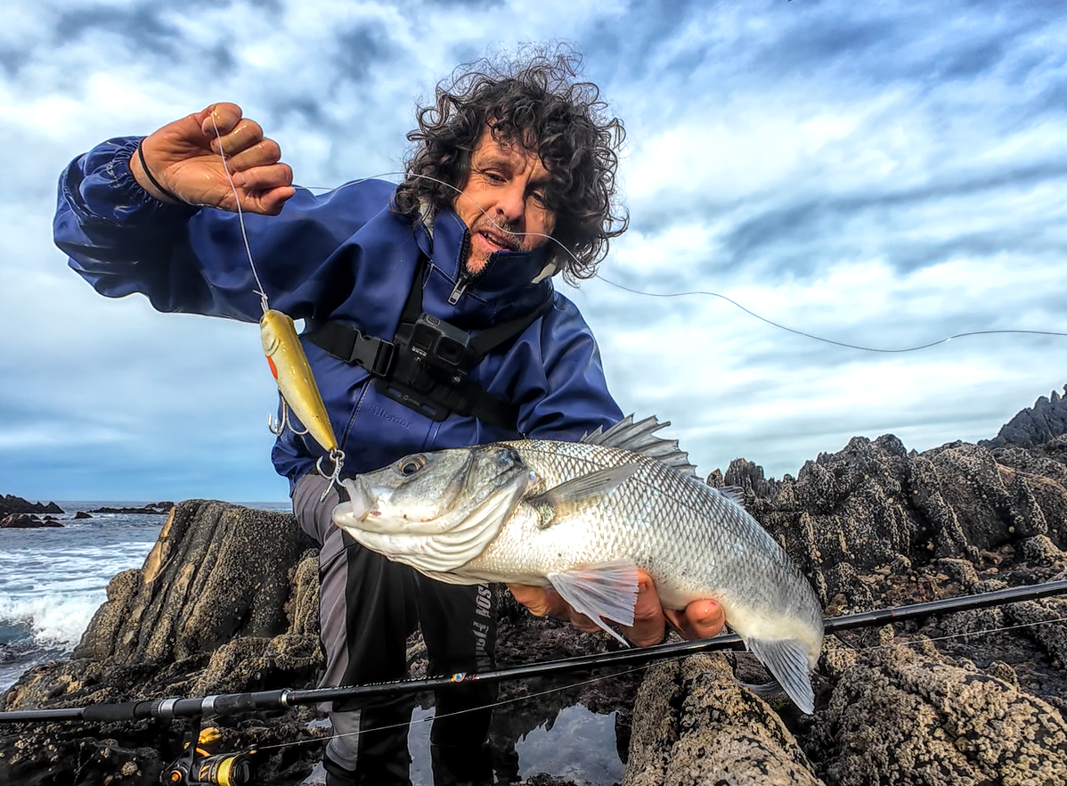 Waylander - Wayward 120 LF Minnow (sin plomo)