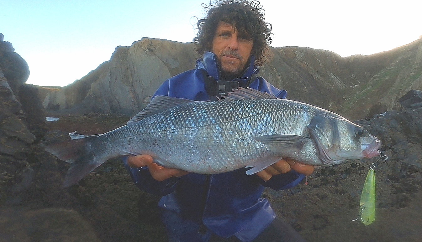 Waylander - Wayward 120 LF Minnow (sin plomo)