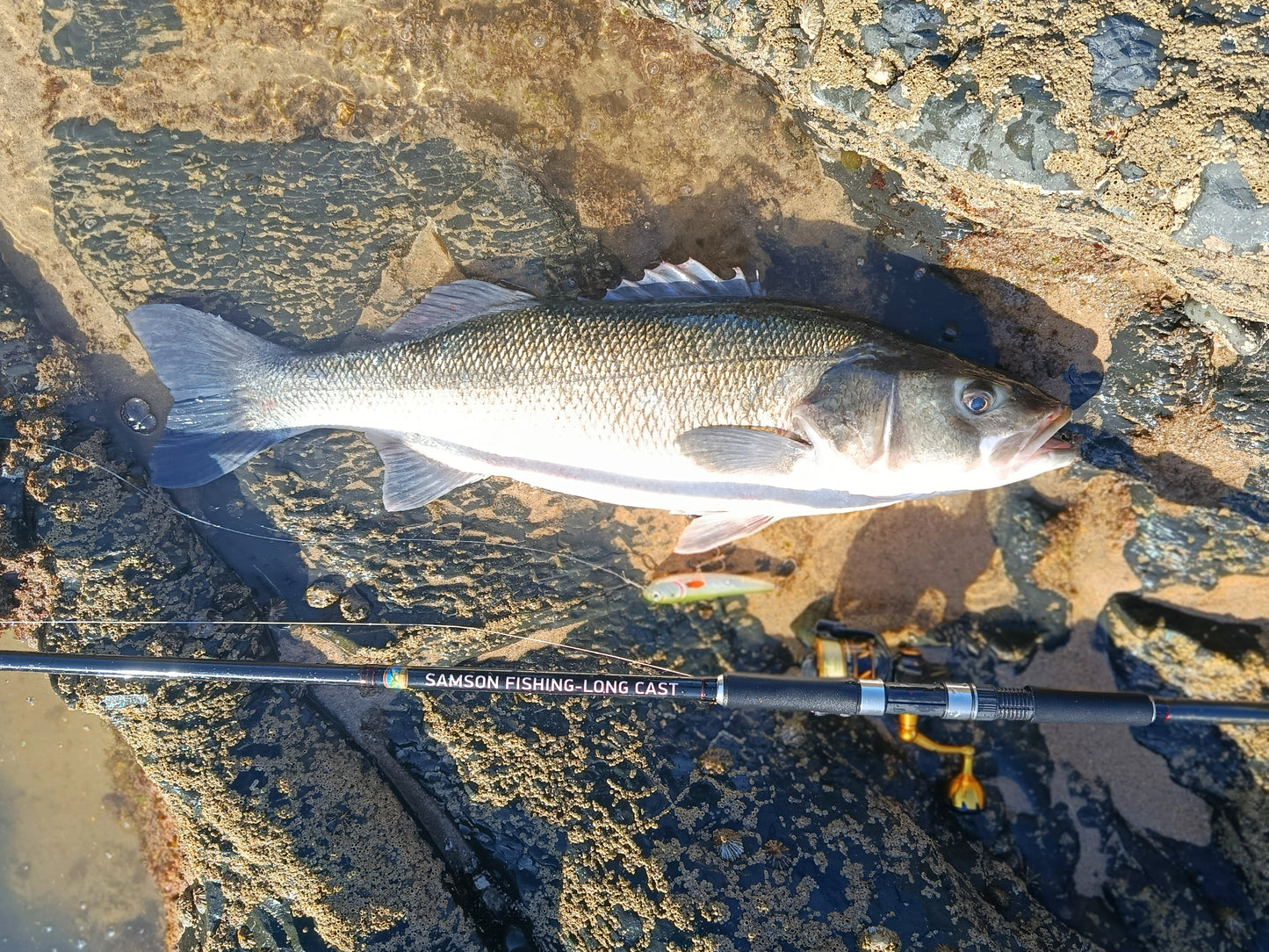 Waylander - Wayward 120 LF Minnow (Lead Free) 30g