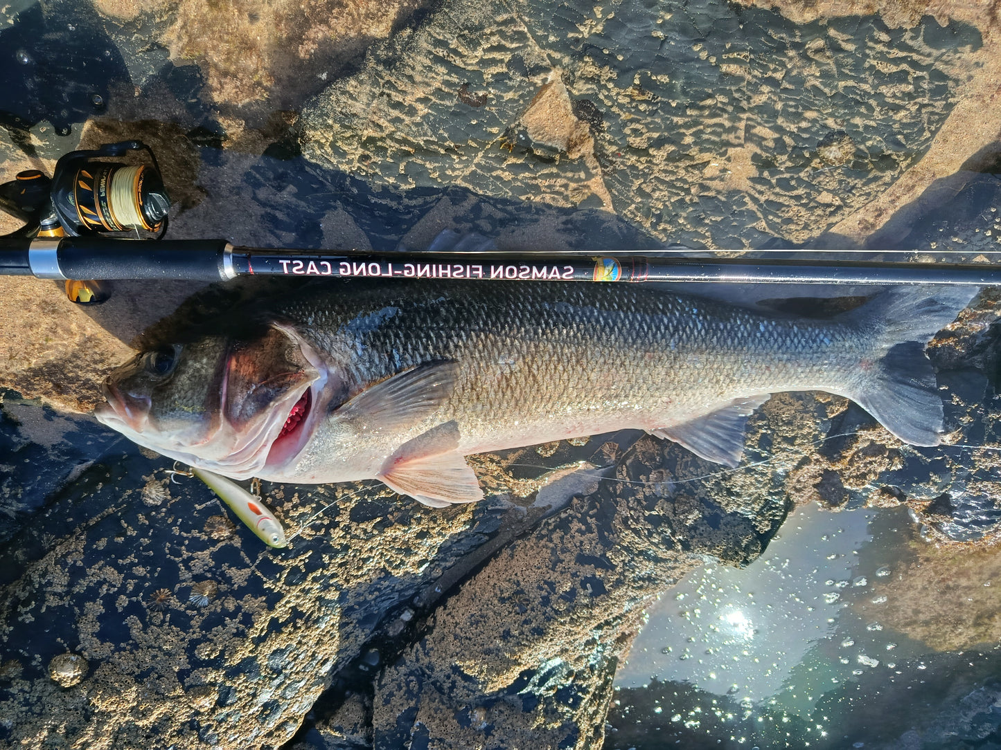Waylander - Wayward 120 LF Minnow (Lead Free) 30g
