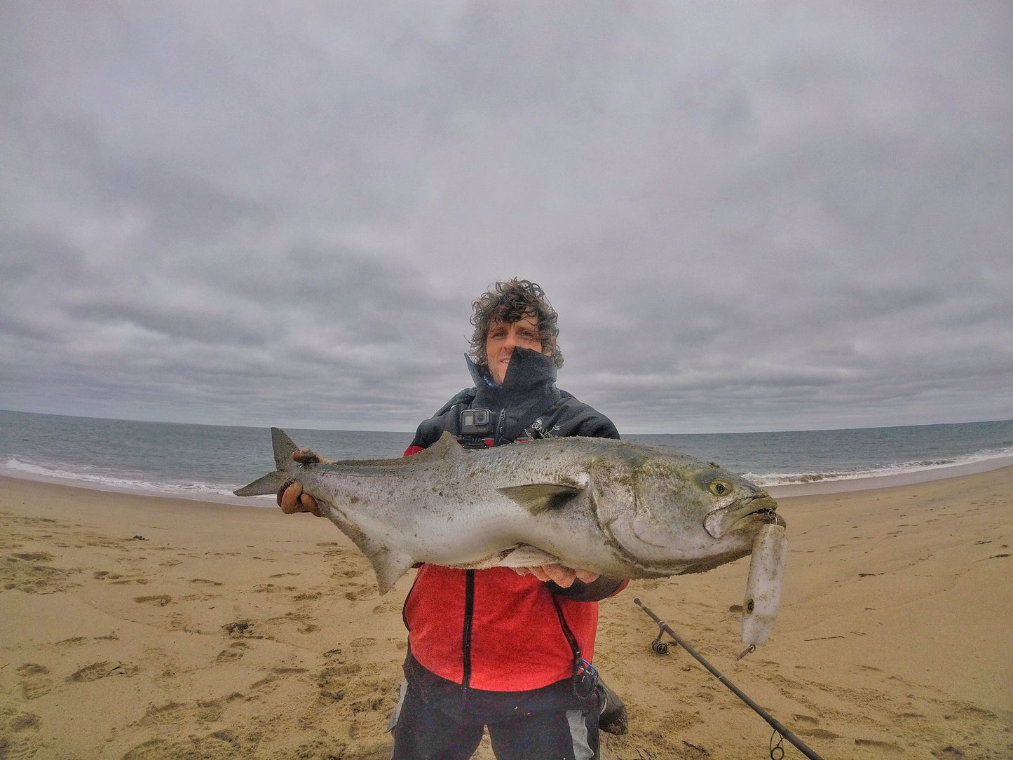 Fat Minnow - Samson Lures