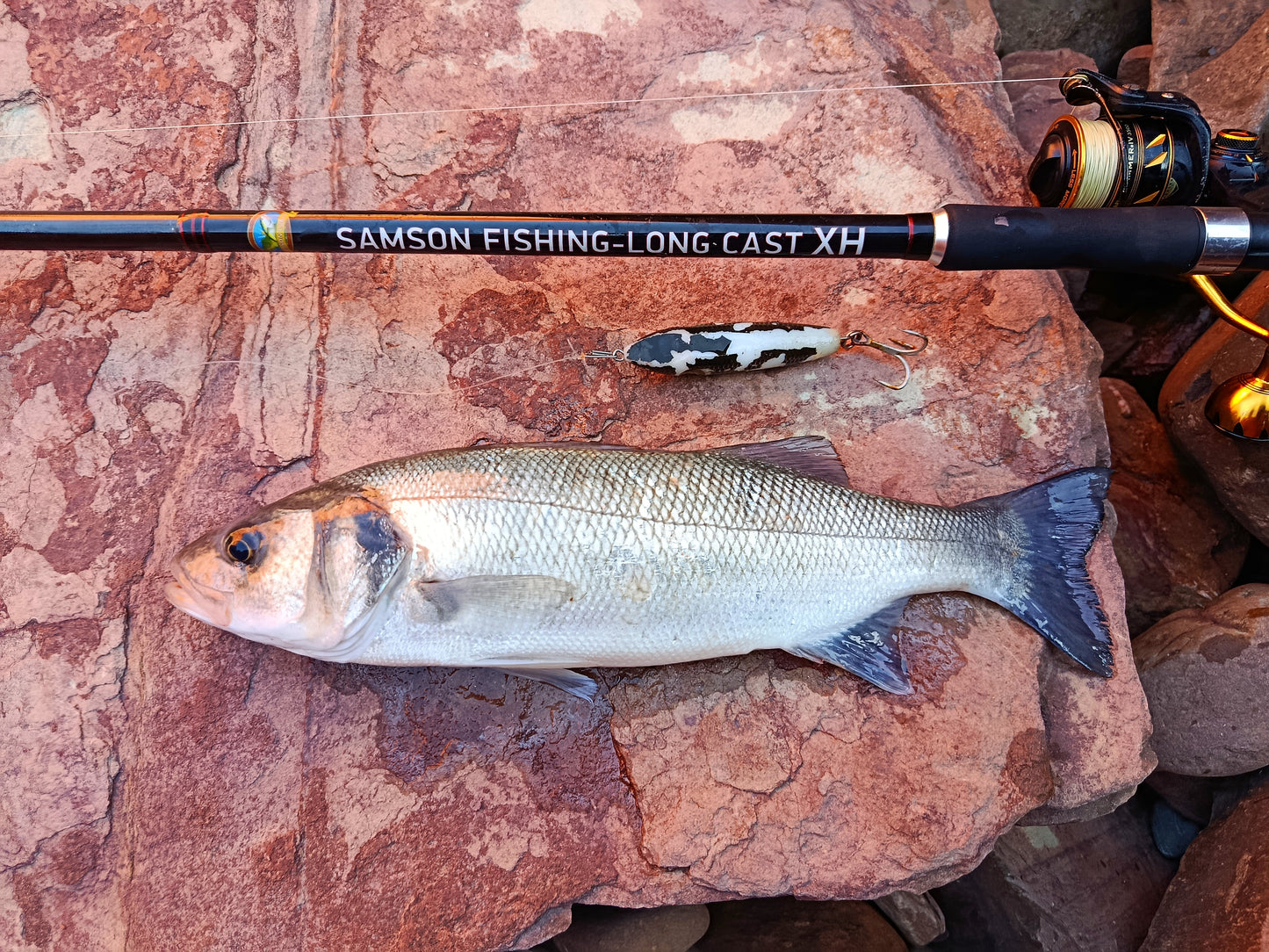 Waylander - Wayward 120 LF Minnow (sin plomo)