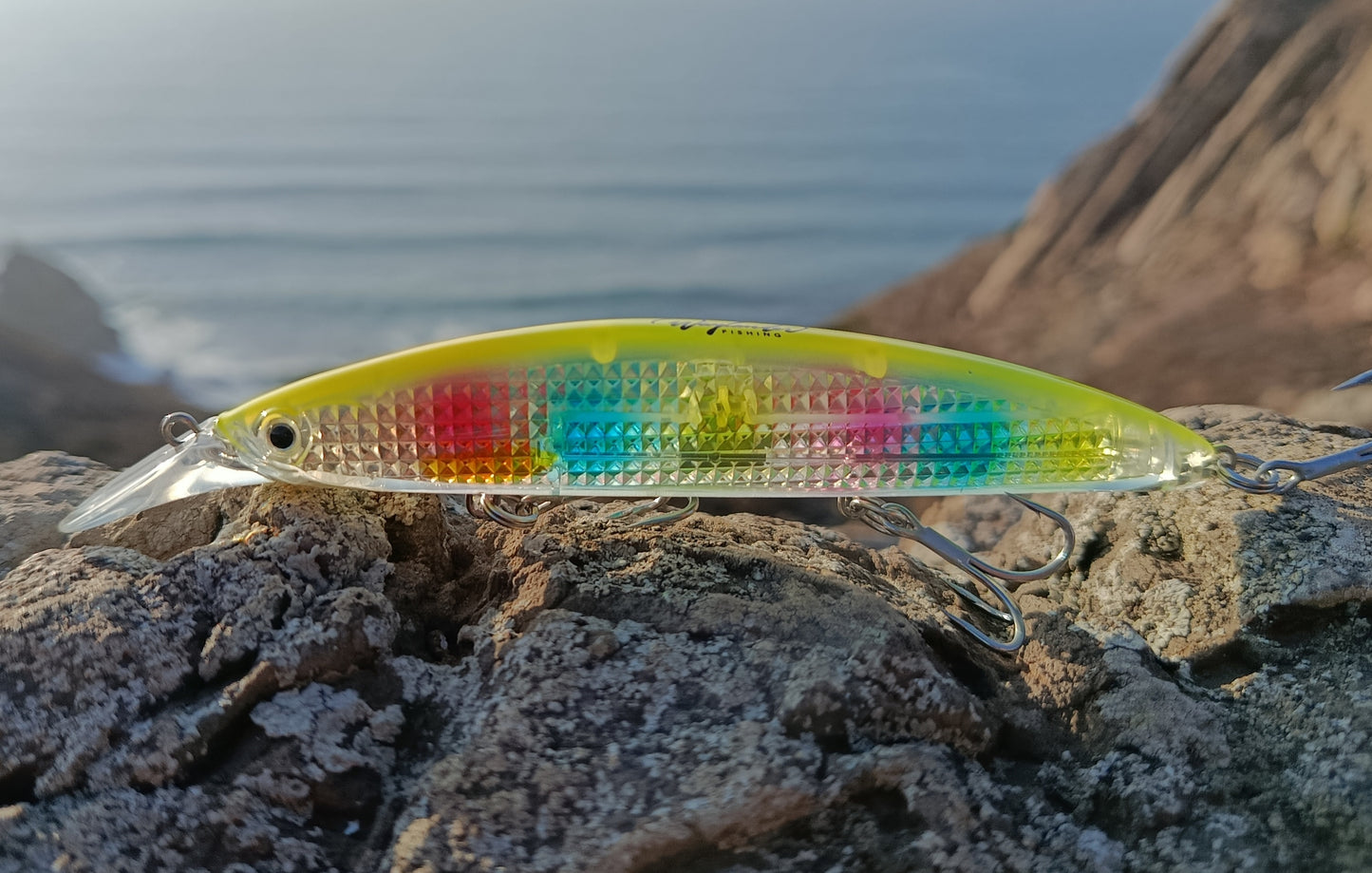 Waylander Pulse Runner - Crankbait de surface sans plomb pour eaux peu profondes