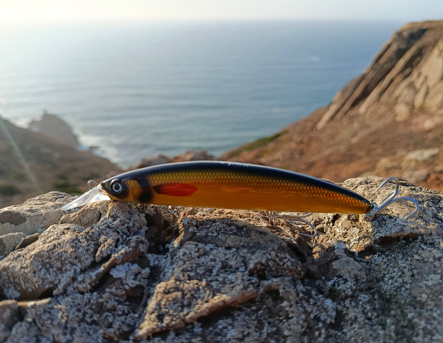 Waylander Pulse Runner - Crankbait de surface sans plomb pour eaux peu profondes