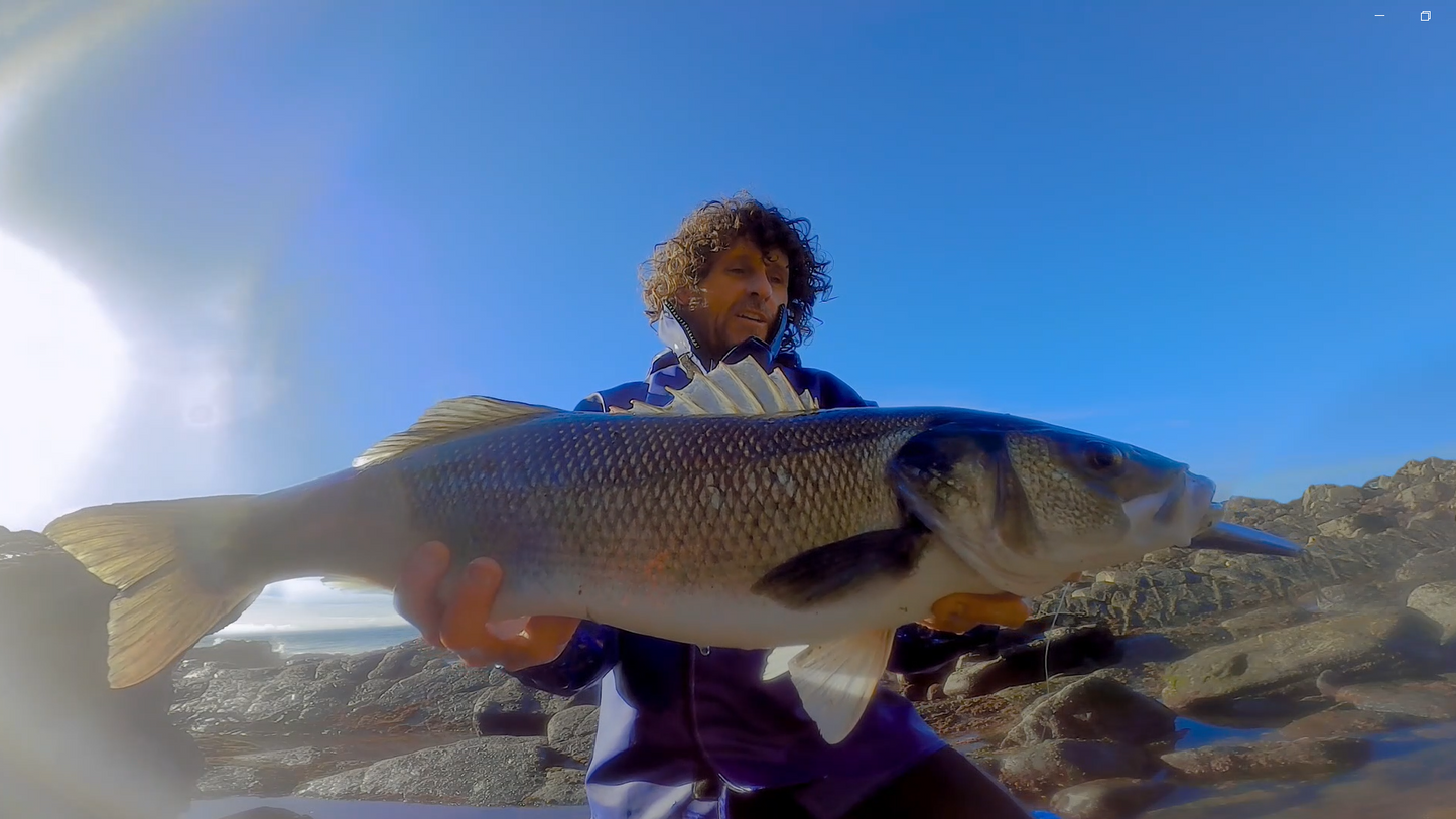 Waylander - Wayward 120 LF Minnow (sin plomo)