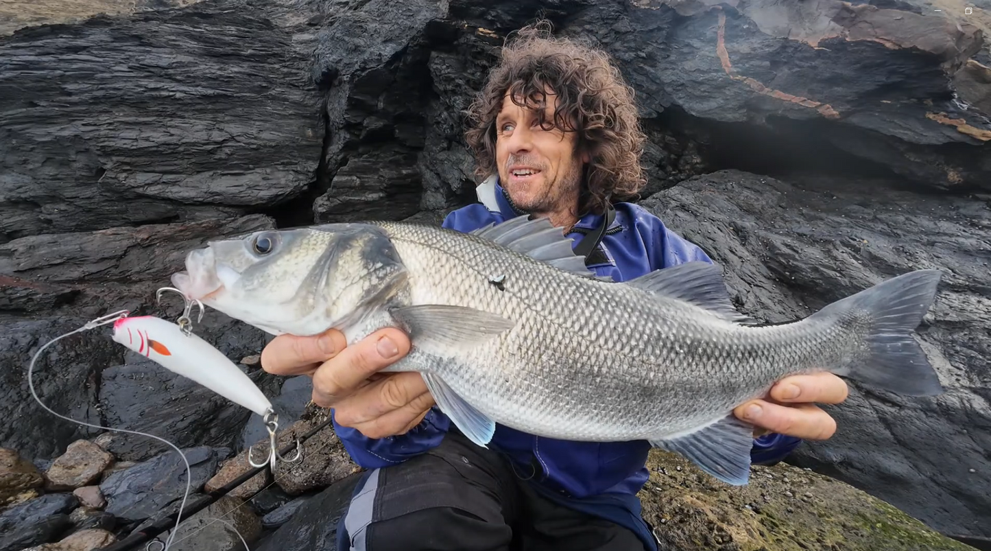 Waylander - Wayward 120 LF Minnow (sin plomo)