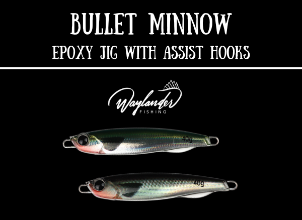 Waylander Bullet Minnow - Epoxy-Jig mit BKK Assist-Haken