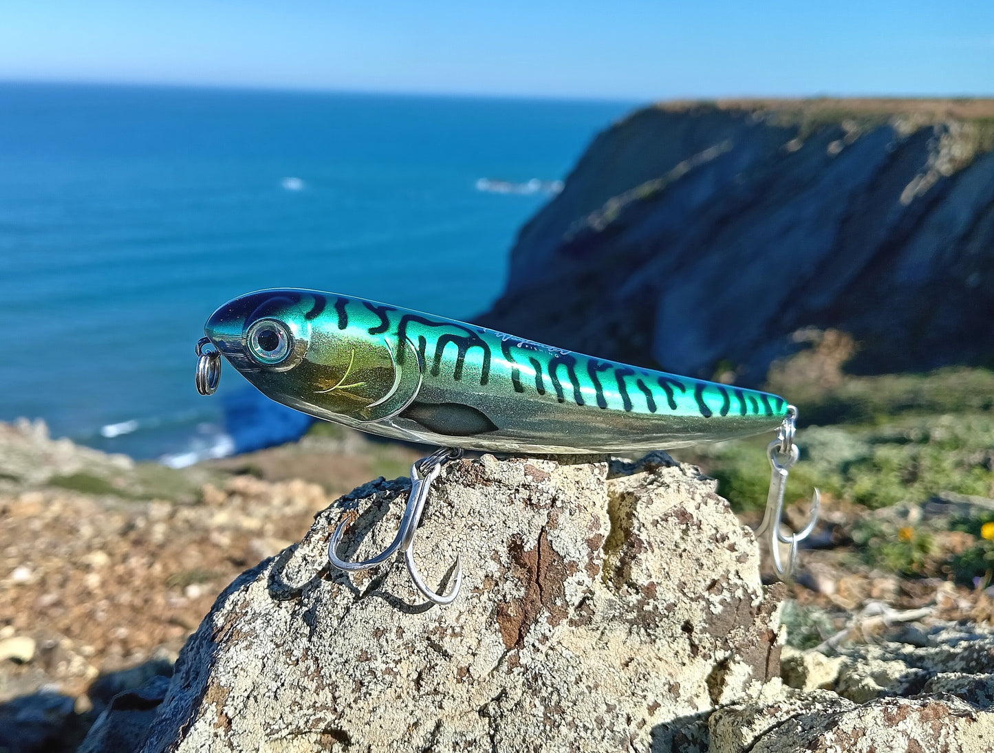 Waylander - Wayward 120 LF Minnow (sin plomo)