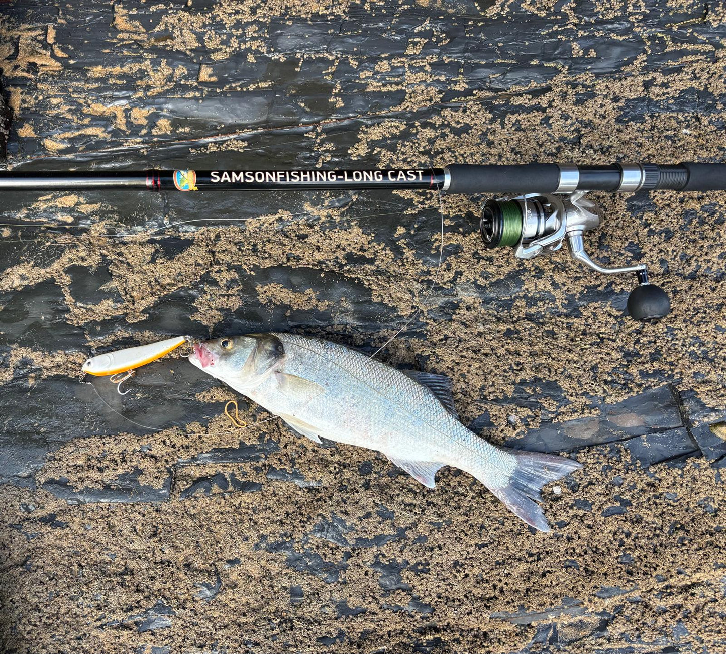 Waylander - Wayward 120 LF Minnow (sin plomo)