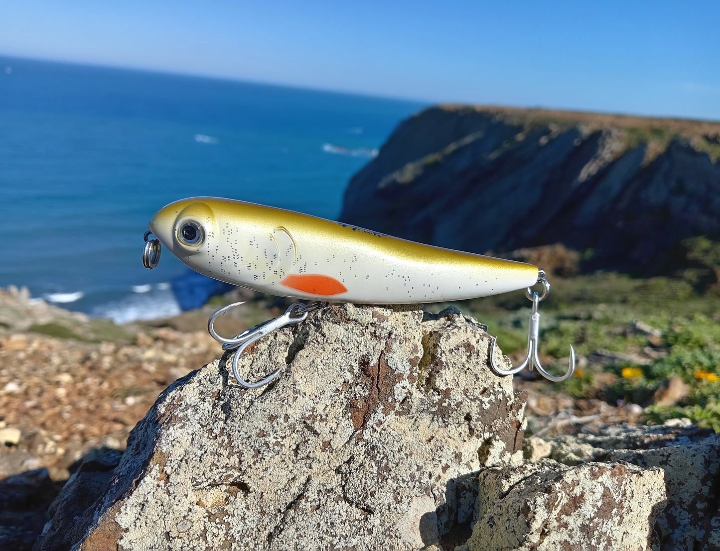 Waylander - Wayward 120 LF Minnow (sin plomo)