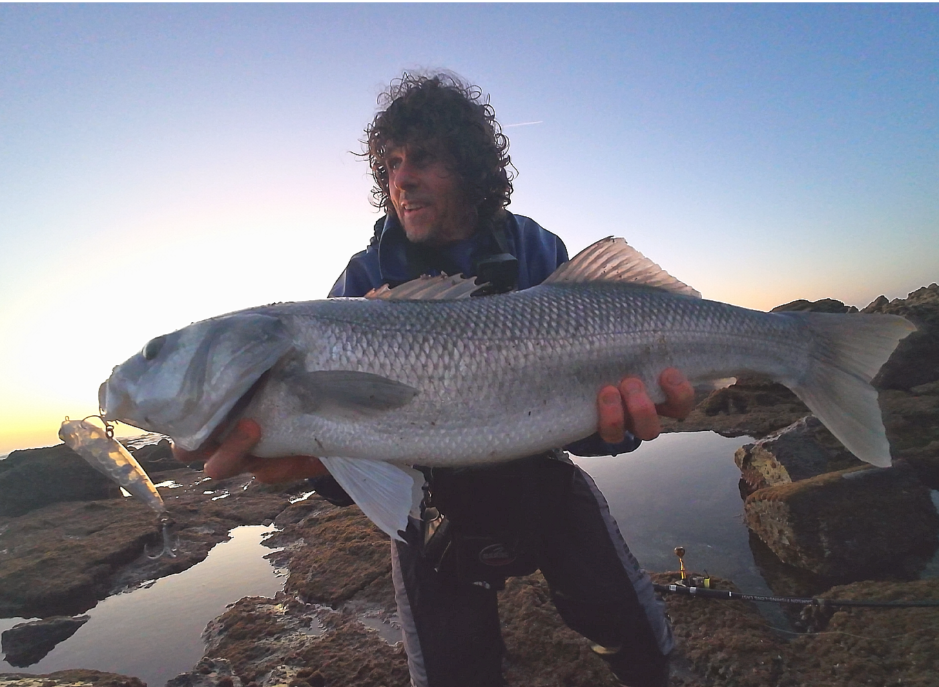Waylander - Wayward 120 LF Minnow (sin plomo)