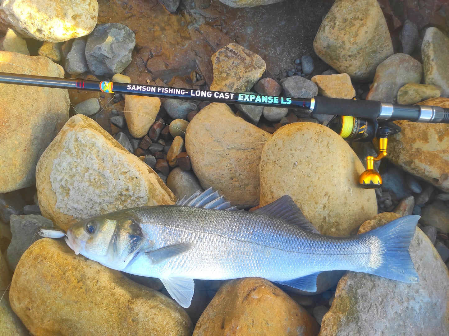 Canna da spinning Samson Long Cast 12 piedi - EXPANSE LS 15-60g