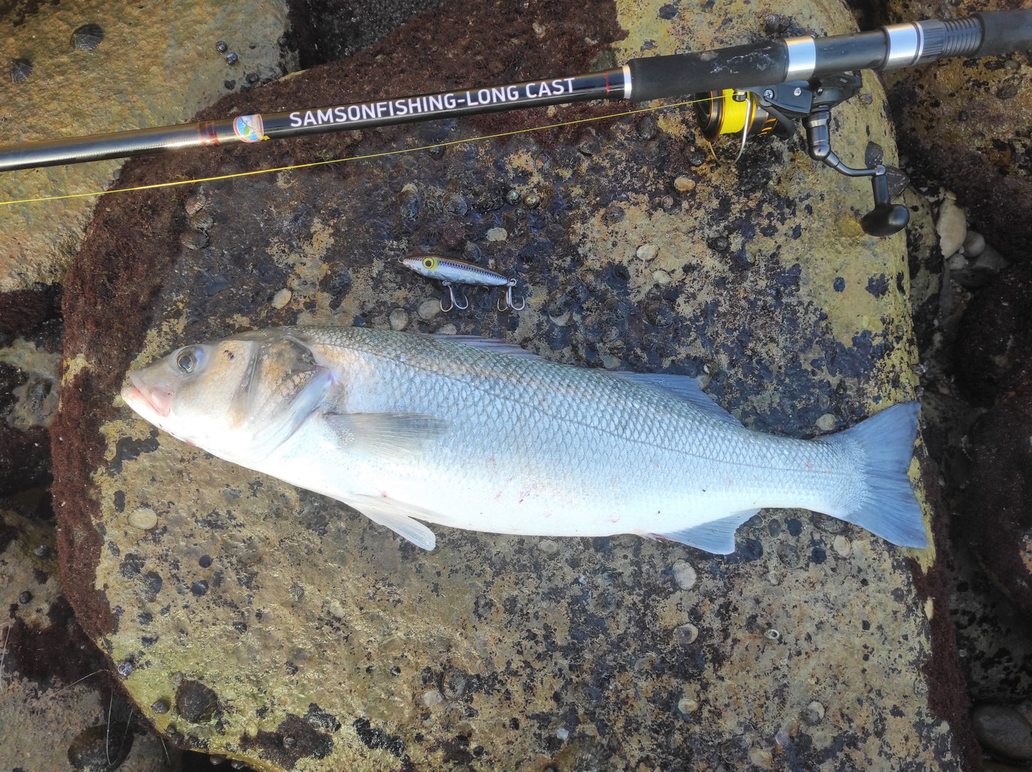 Canne à lancer Samson Long Cast 12 pieds - TODOS 30-100 g