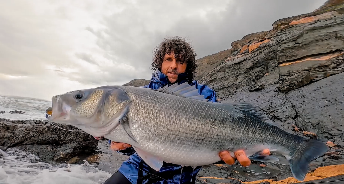 Waylander - Wayward 120 LF Minnow (sin plomo)