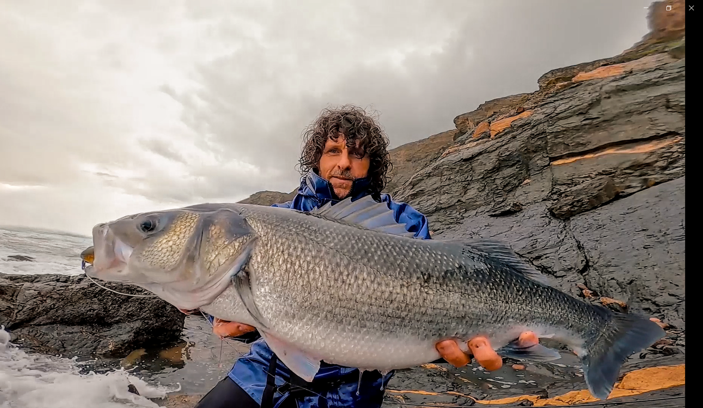 Waylander - Wayward 120 LF Minnow (sin plomo)