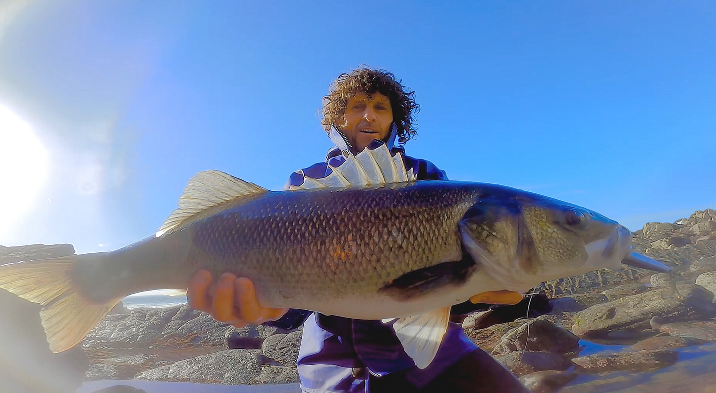 Waylander - Wayward 120 LF Minnow (sin plomo)