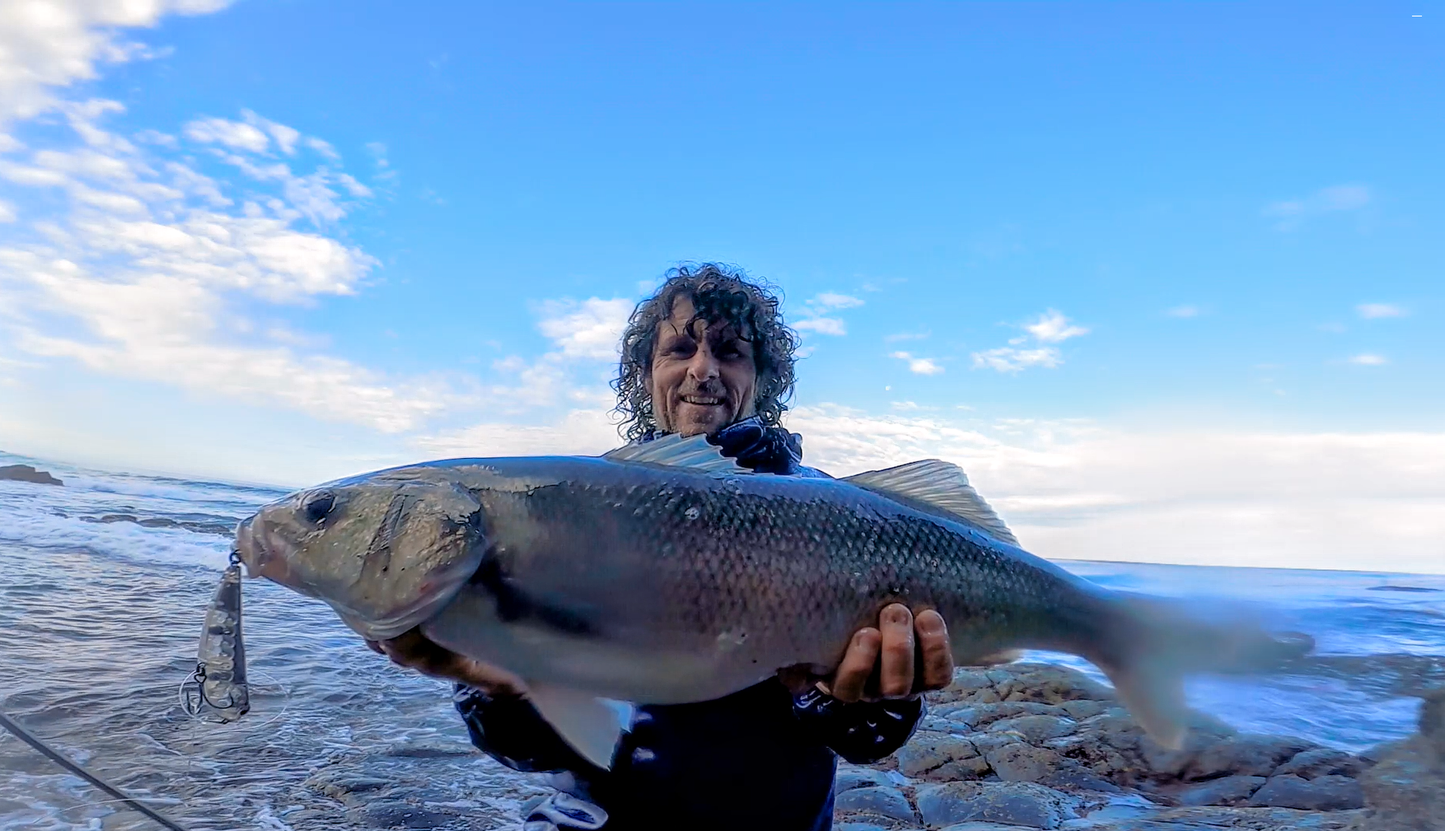 Waylander - Wayward 120 LF Minnow (sin plomo)