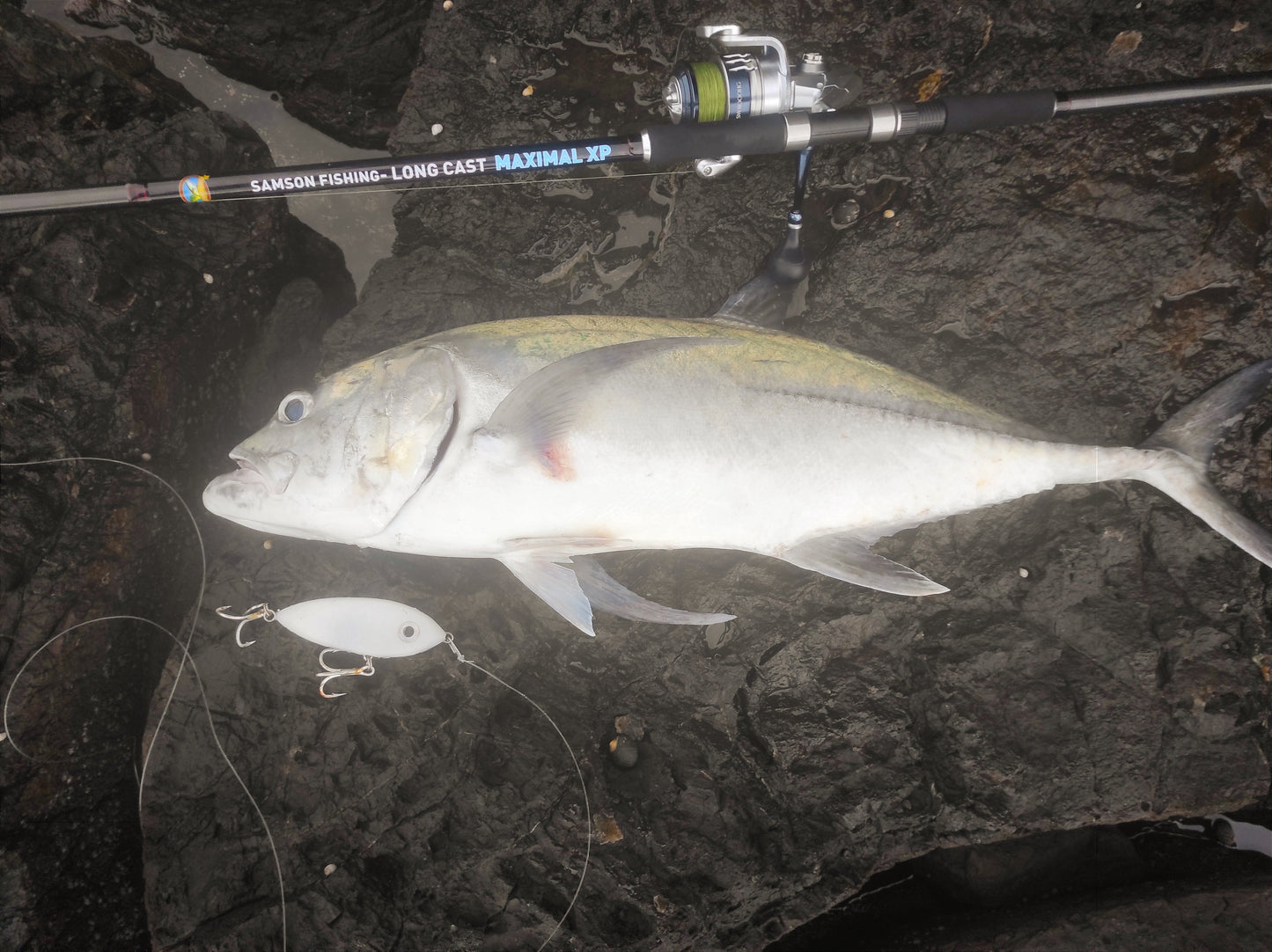 Caña de spinning Samson Long Cast de 3,6 m - MÁXIMO 60-200 g