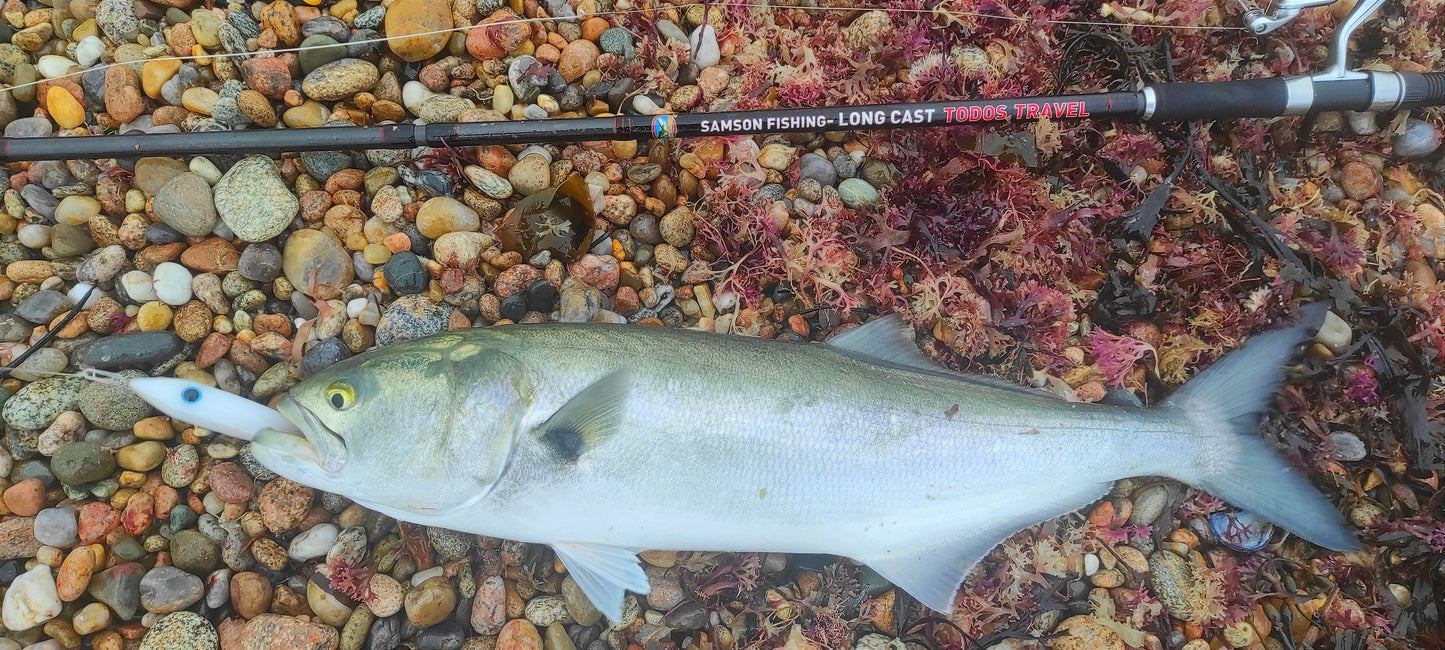 Enticer Minnow - Samson Lures