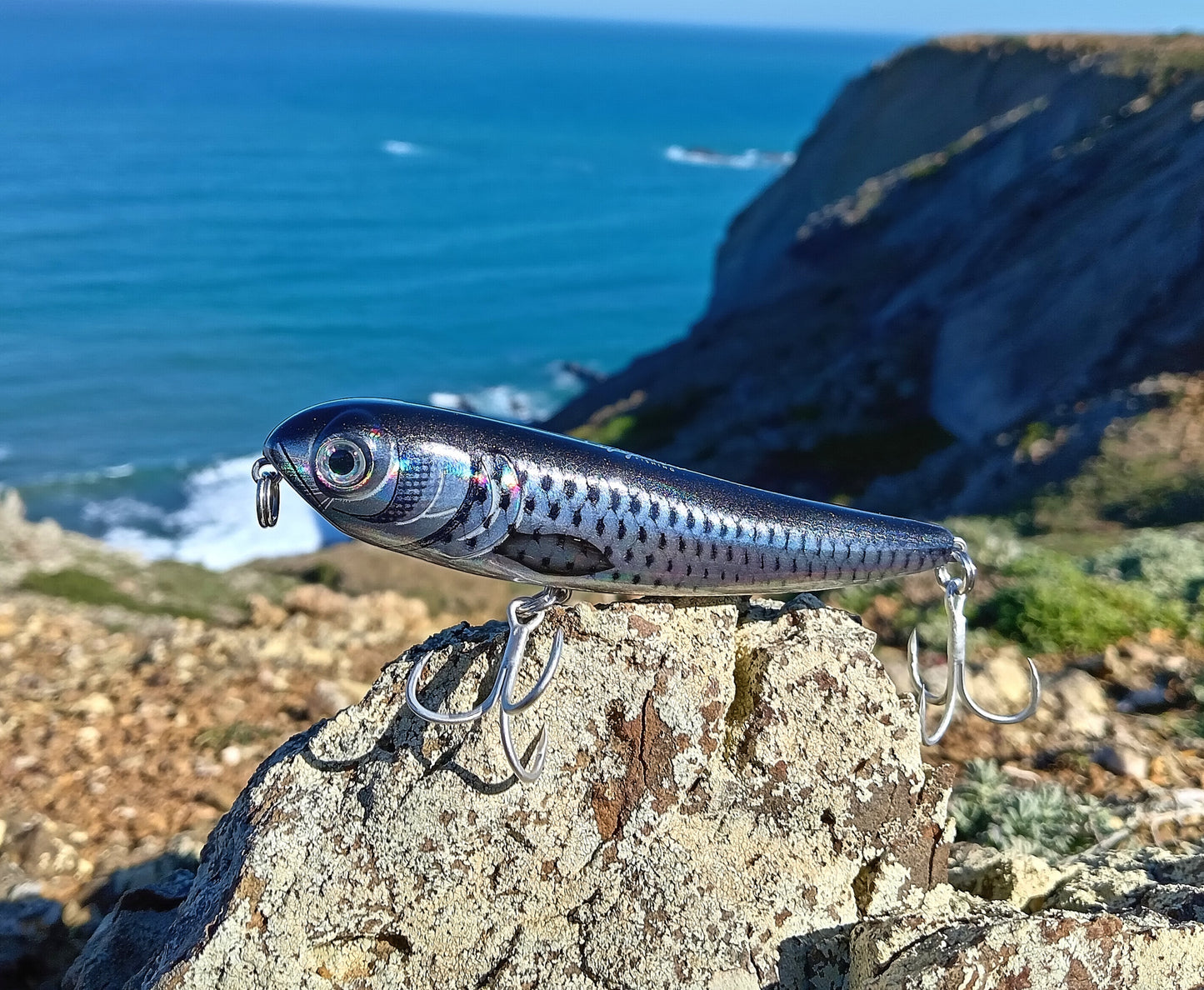 Waylander - Wayward 120 LF Minnow (sin plomo)