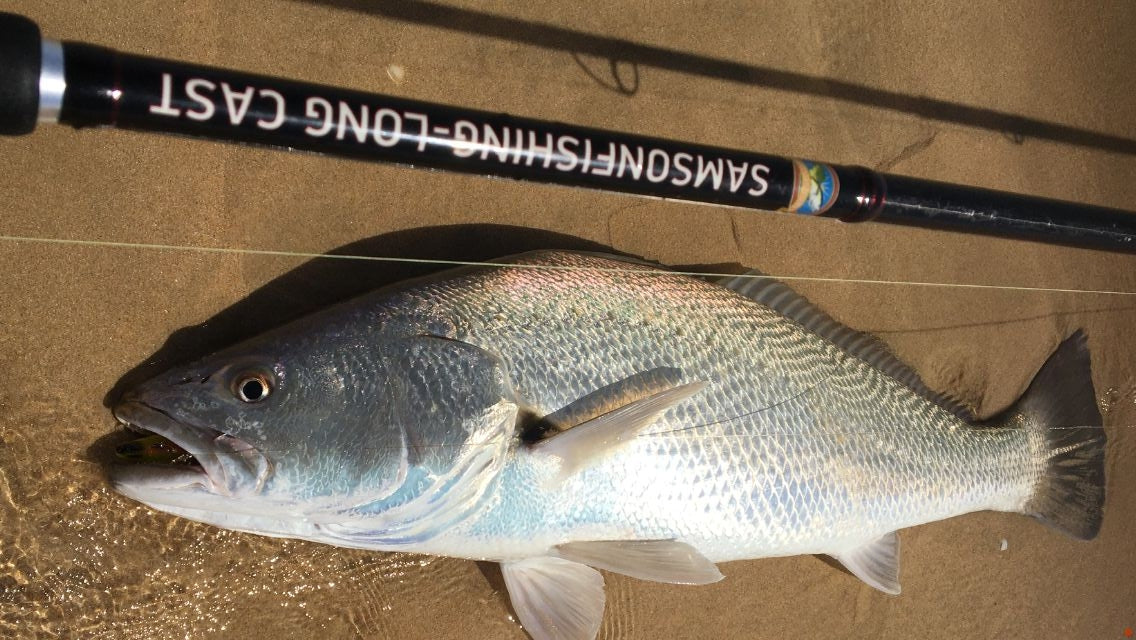 Canne à lancer Samson Long Cast 12 pieds - TODOS 30-100 g