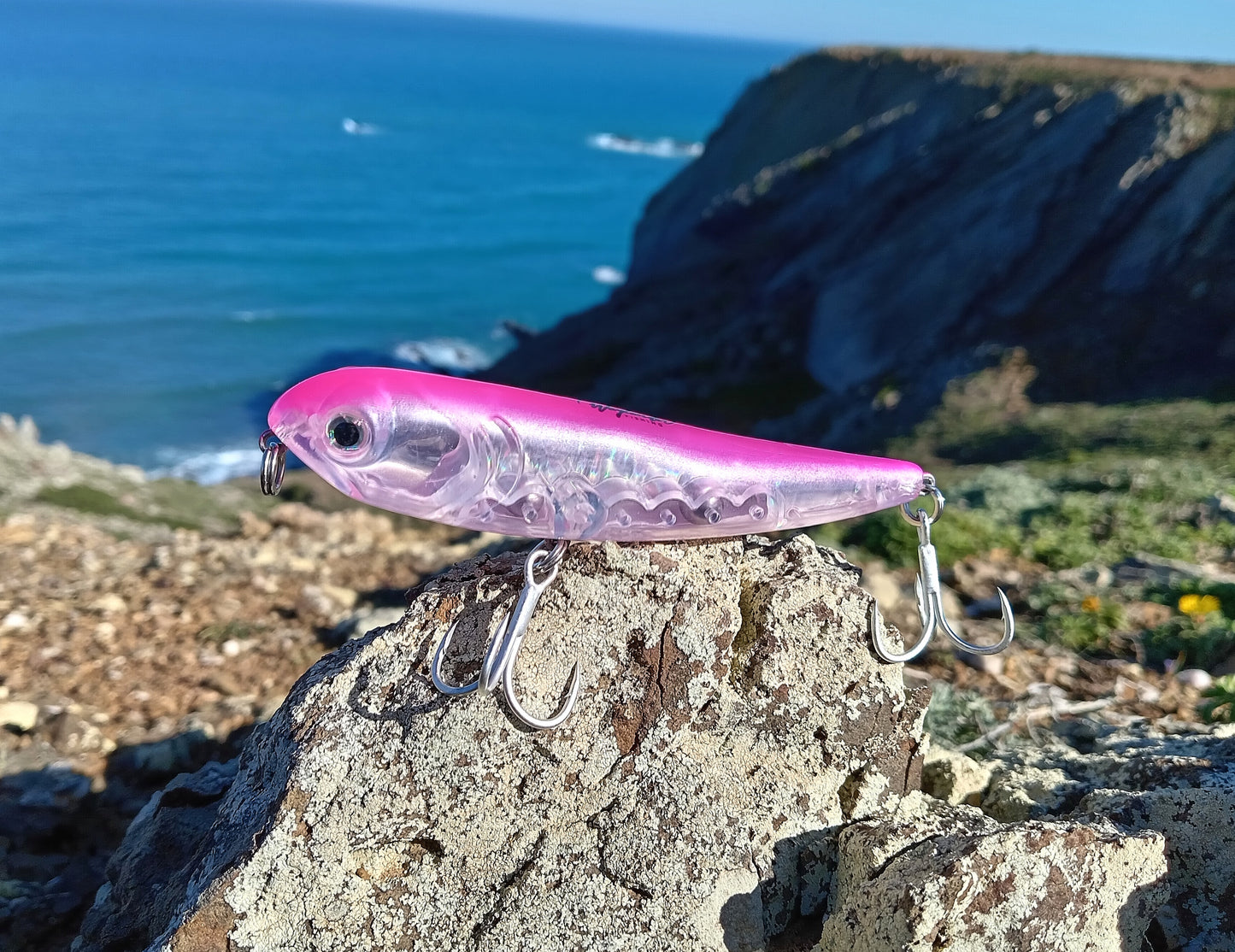 Waylander - Wayward 120 LF Minnow (sin plomo)