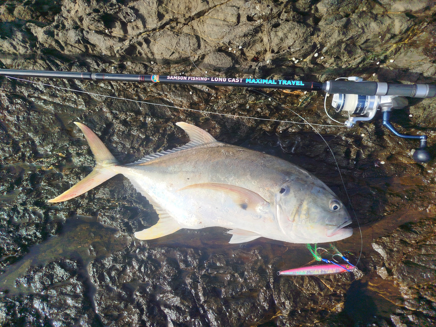 Caña de spinning Samson Long Cast 'Maximal Travel' de 3,6 m (60-200 g)