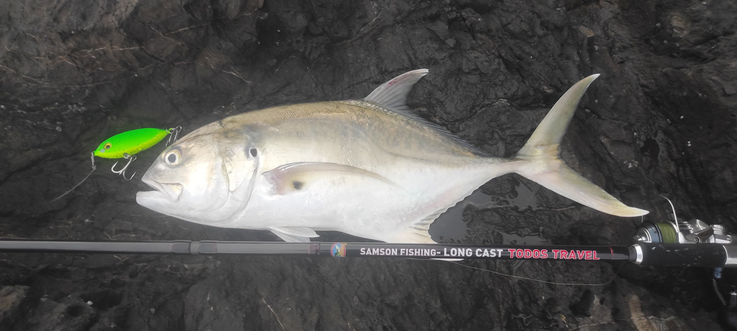 Canne à lancer longue portée Samson - TODOS TRAVEL 12 pieds (30-100 g)