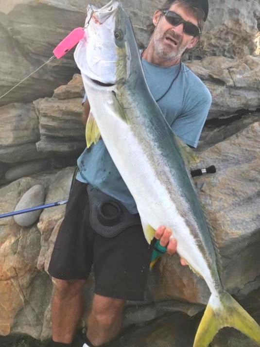 Fat Minnow - Samson Lures