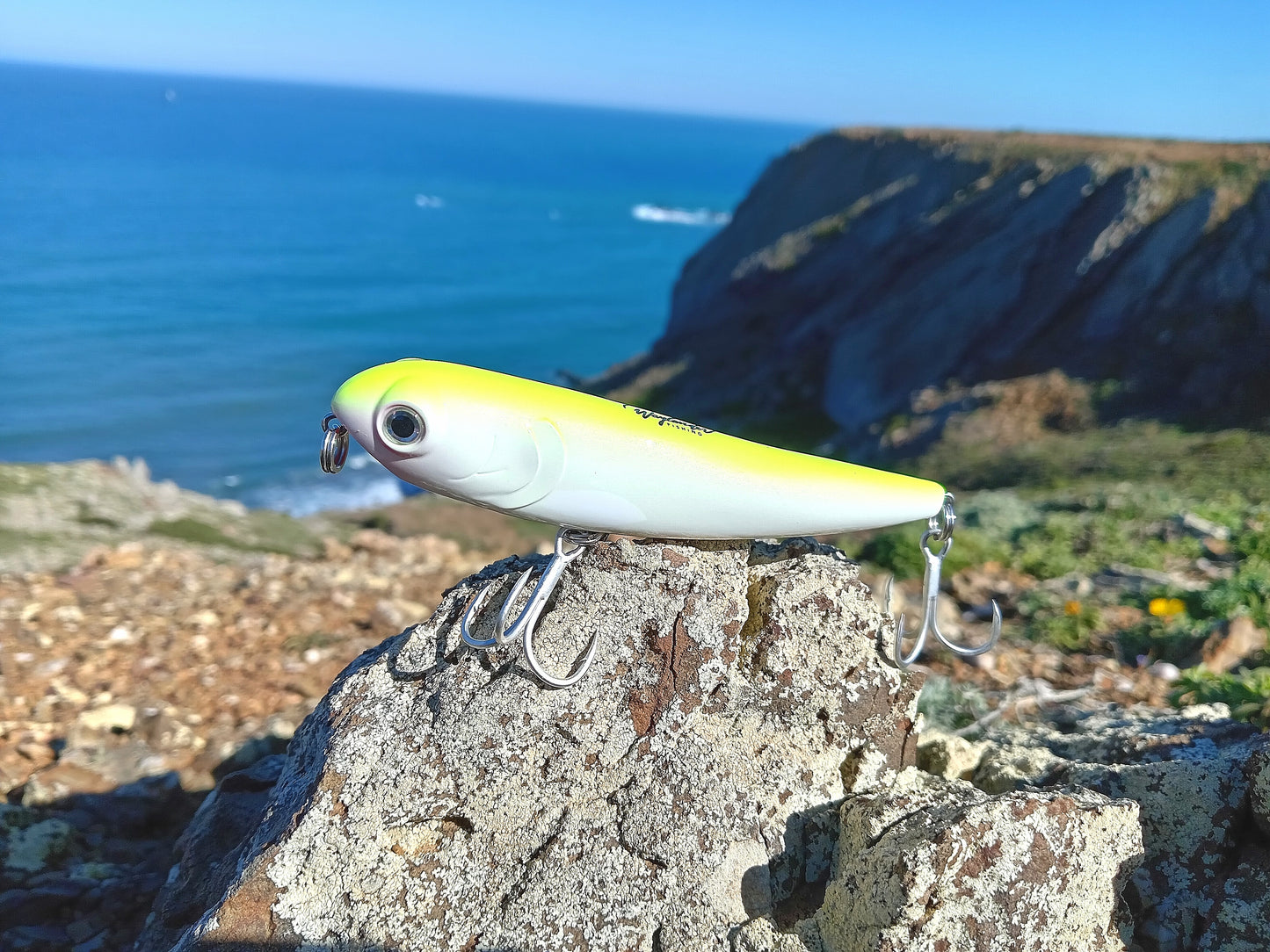 Waylander - Wayward 120 LF Minnow (sin plomo)
