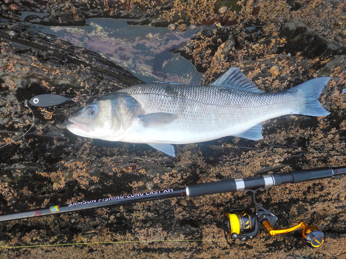 Canne à lancer Samson Long Cast 12 pieds - TODOS 30-100 g