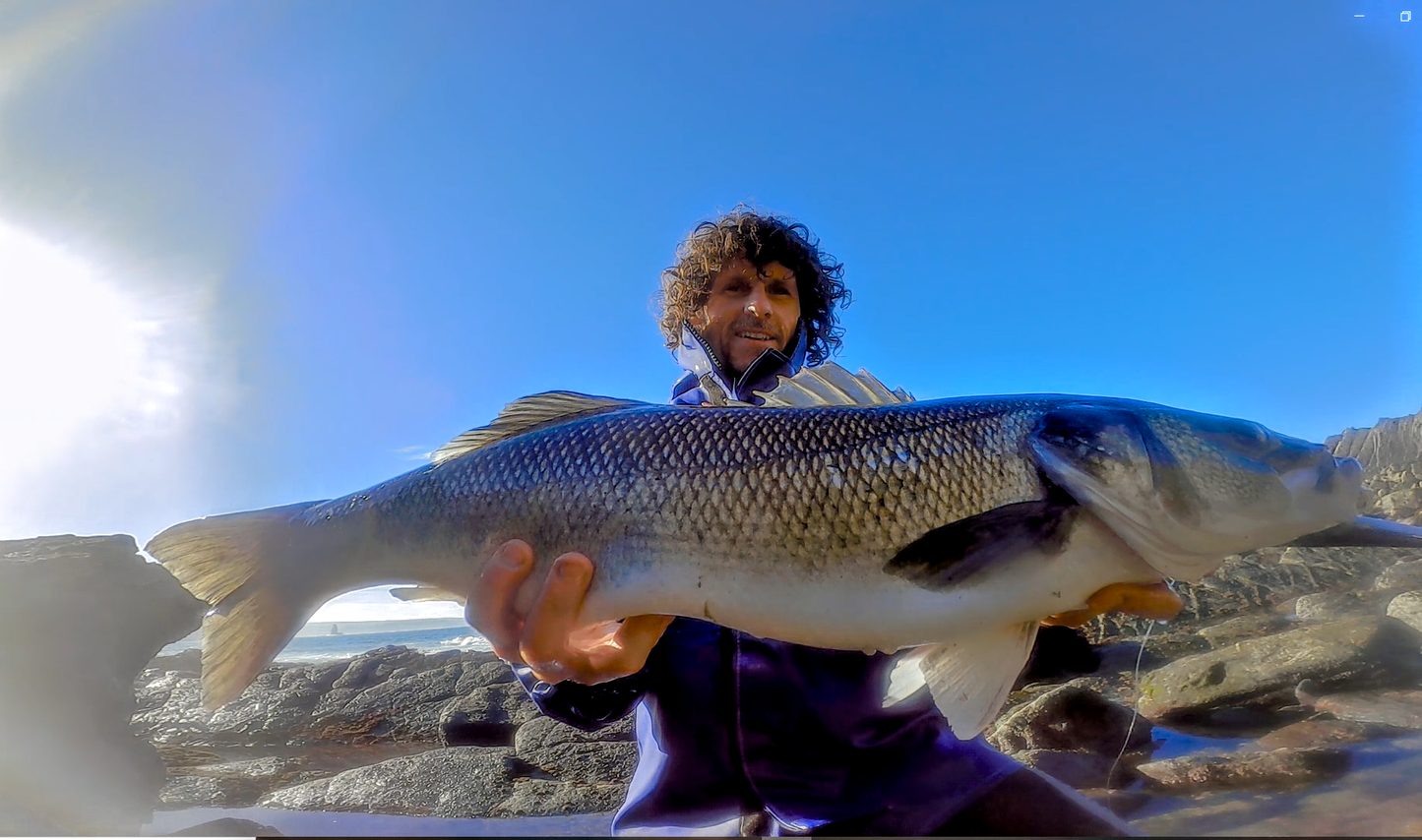 Waylander - Wayward 120 LF Minnow (sin plomo)