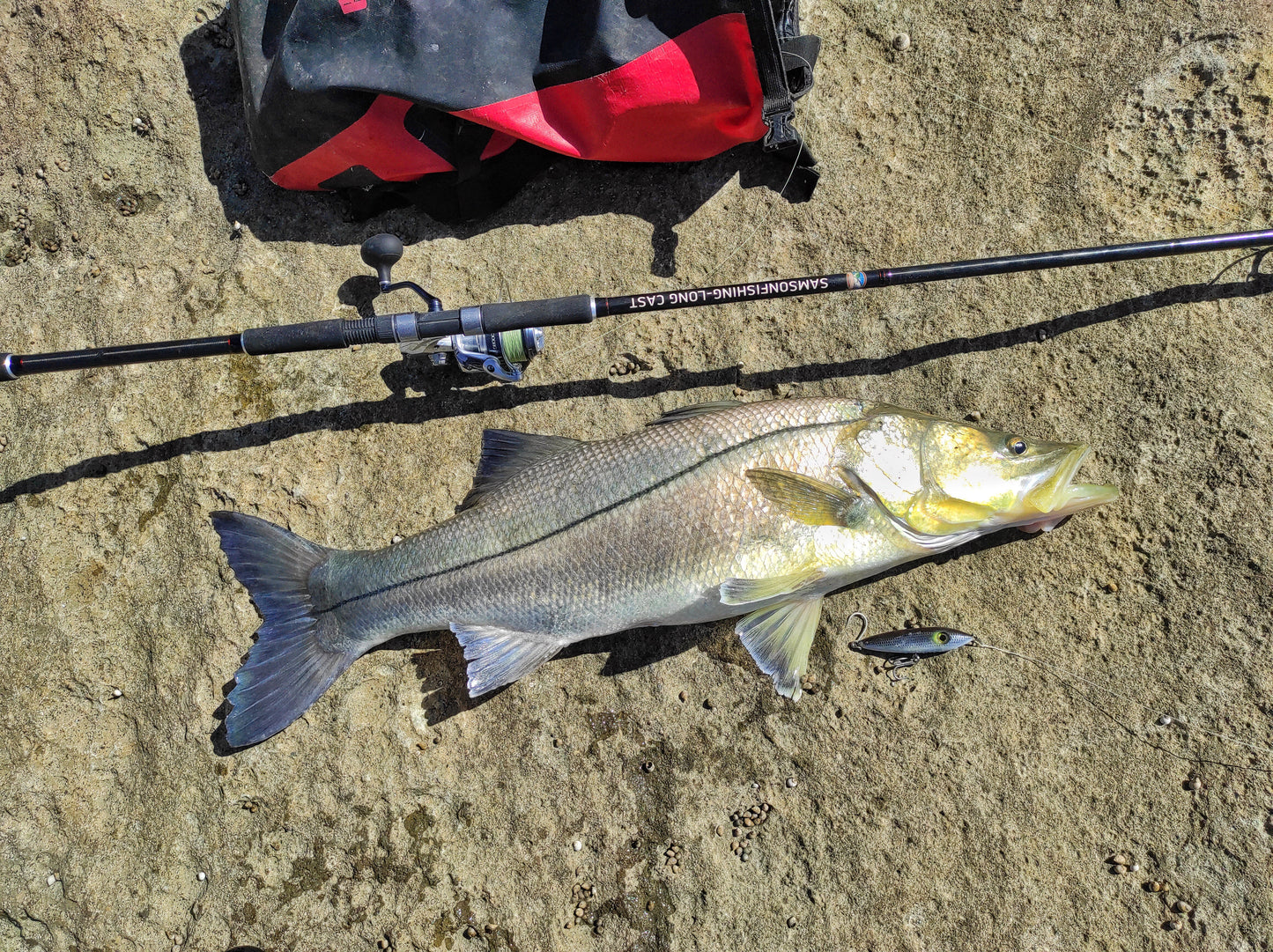 Canne à lancer Samson Long Cast 12 pieds - TODOS 30-100 g