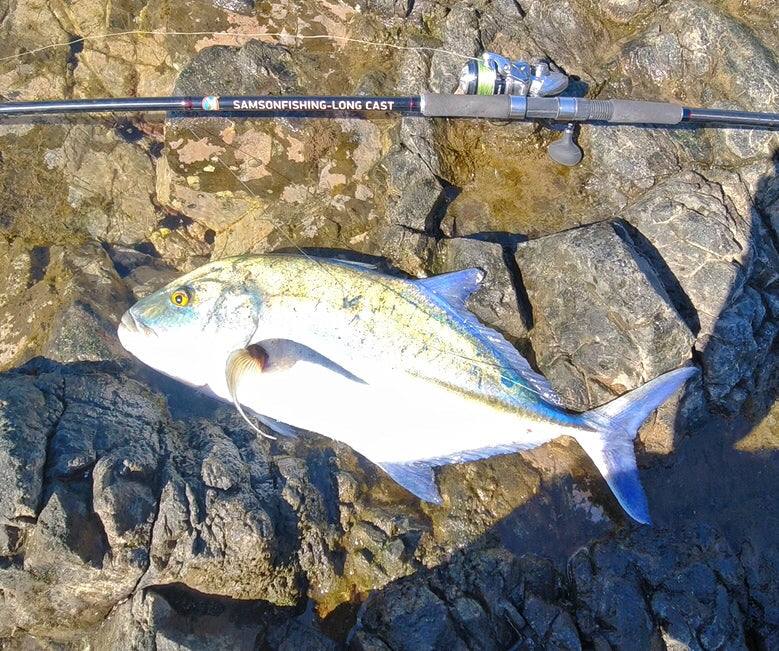 Canne à lancer Samson Long Cast 12 pieds - TODOS 30-100 g