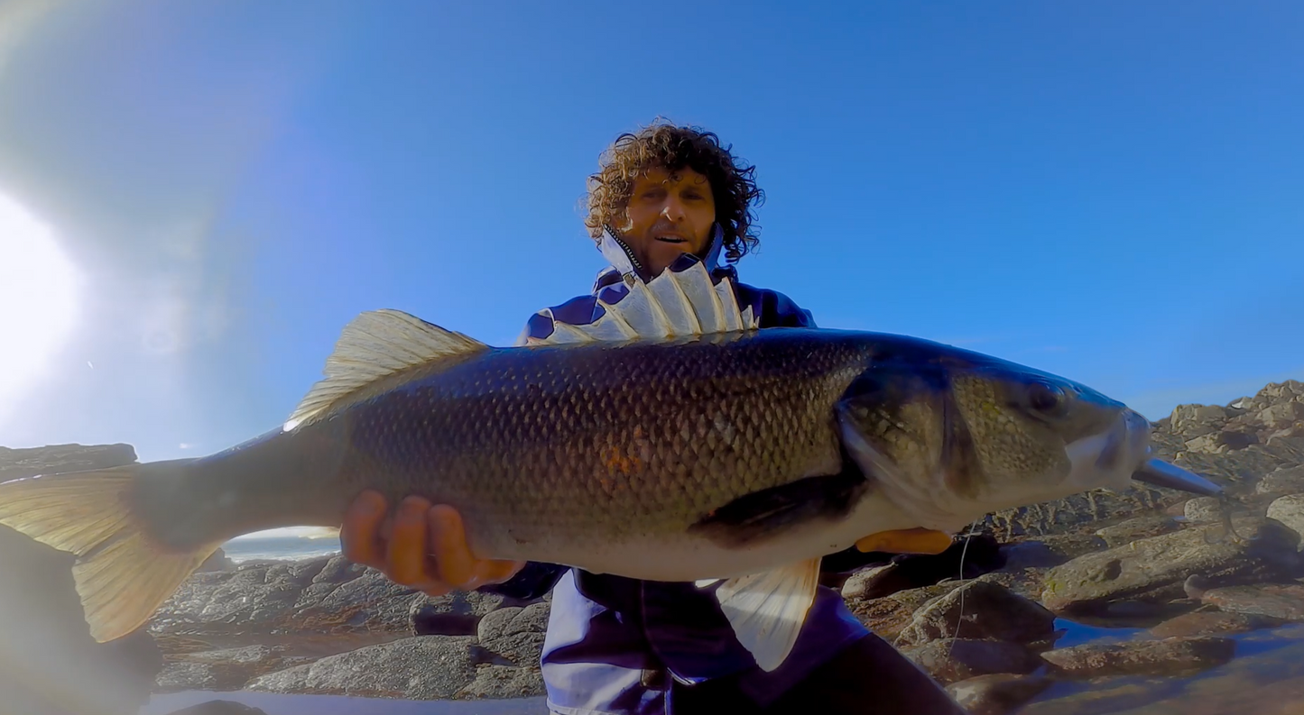 Waylander - Wayward 120 LF Minnow (sin plomo)