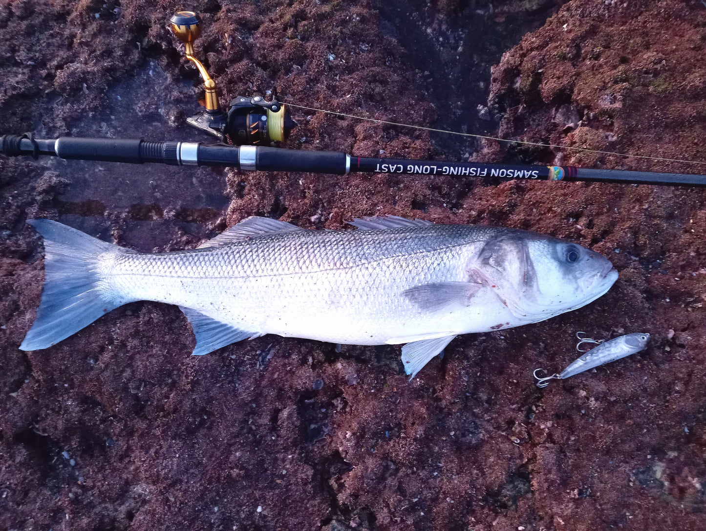 Waylander - Wayward 120 LF Minnow (sin plomo)