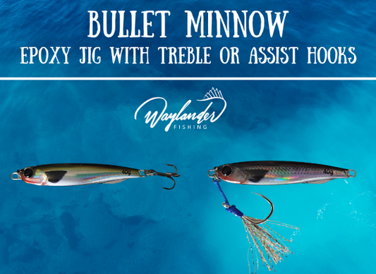 Waylander Bullet Minnow - Jig de epoxi con anzuelos auxiliares BKK