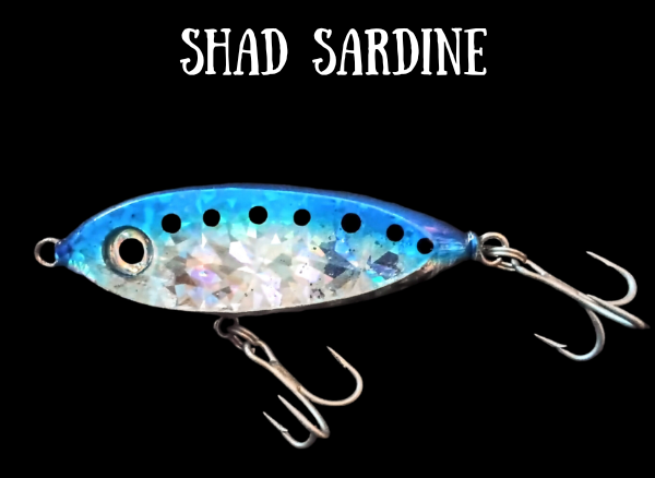Shad