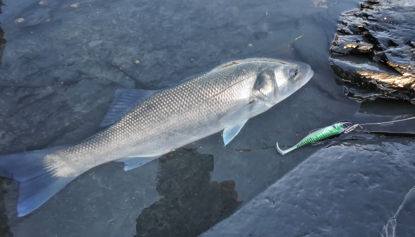 Waylander - Mean Minnow x3 Plastica morbida con Jighead (senza piombo)