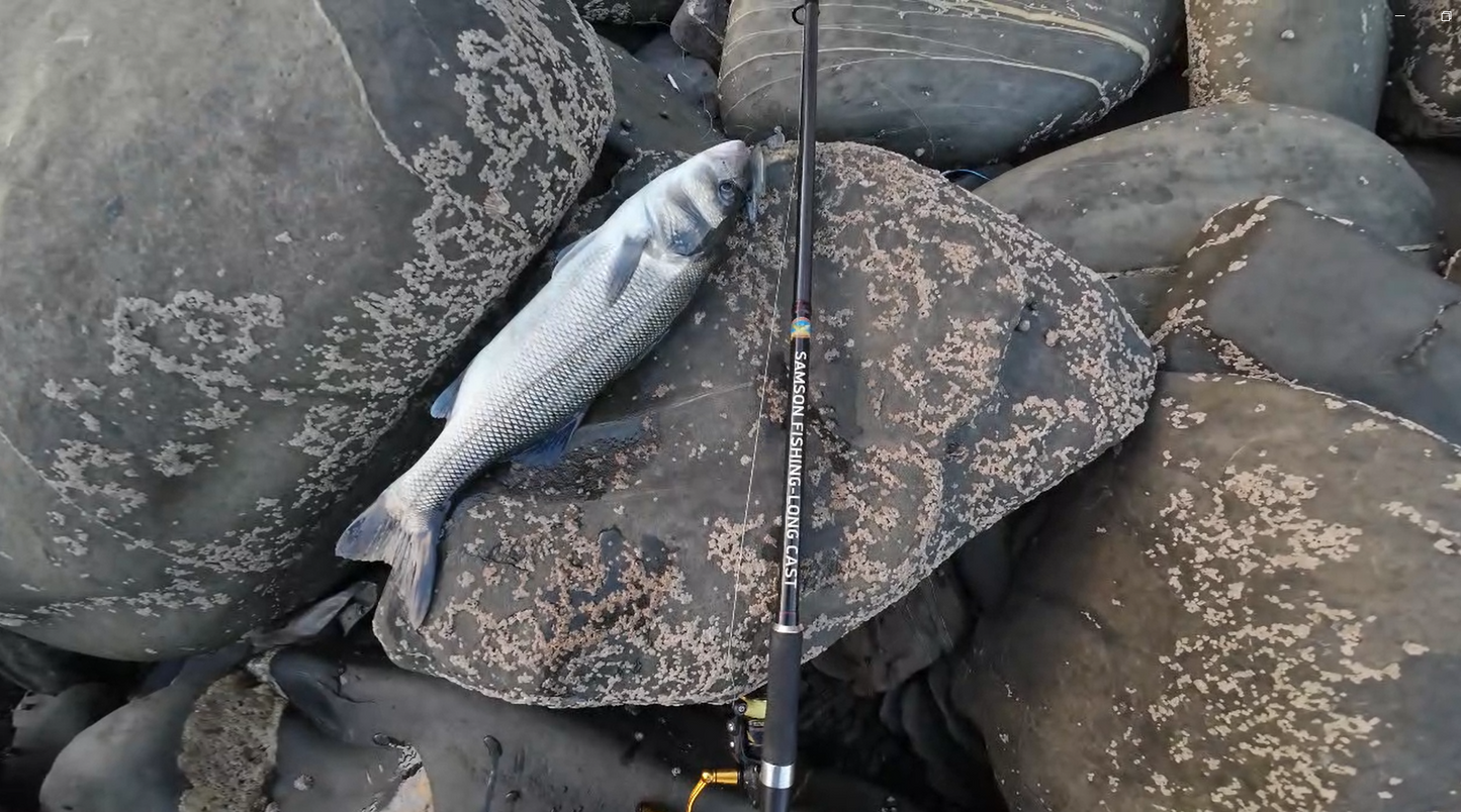 Waylander - Mean Minnow x3 Plastica morbida con Jighead (senza piombo)