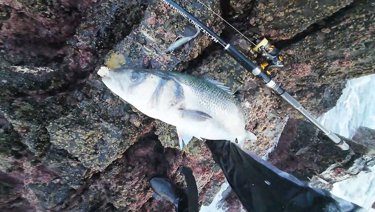 Waylander - Mean Minnow x3 Plastica morbida con Jighead (senza piombo)