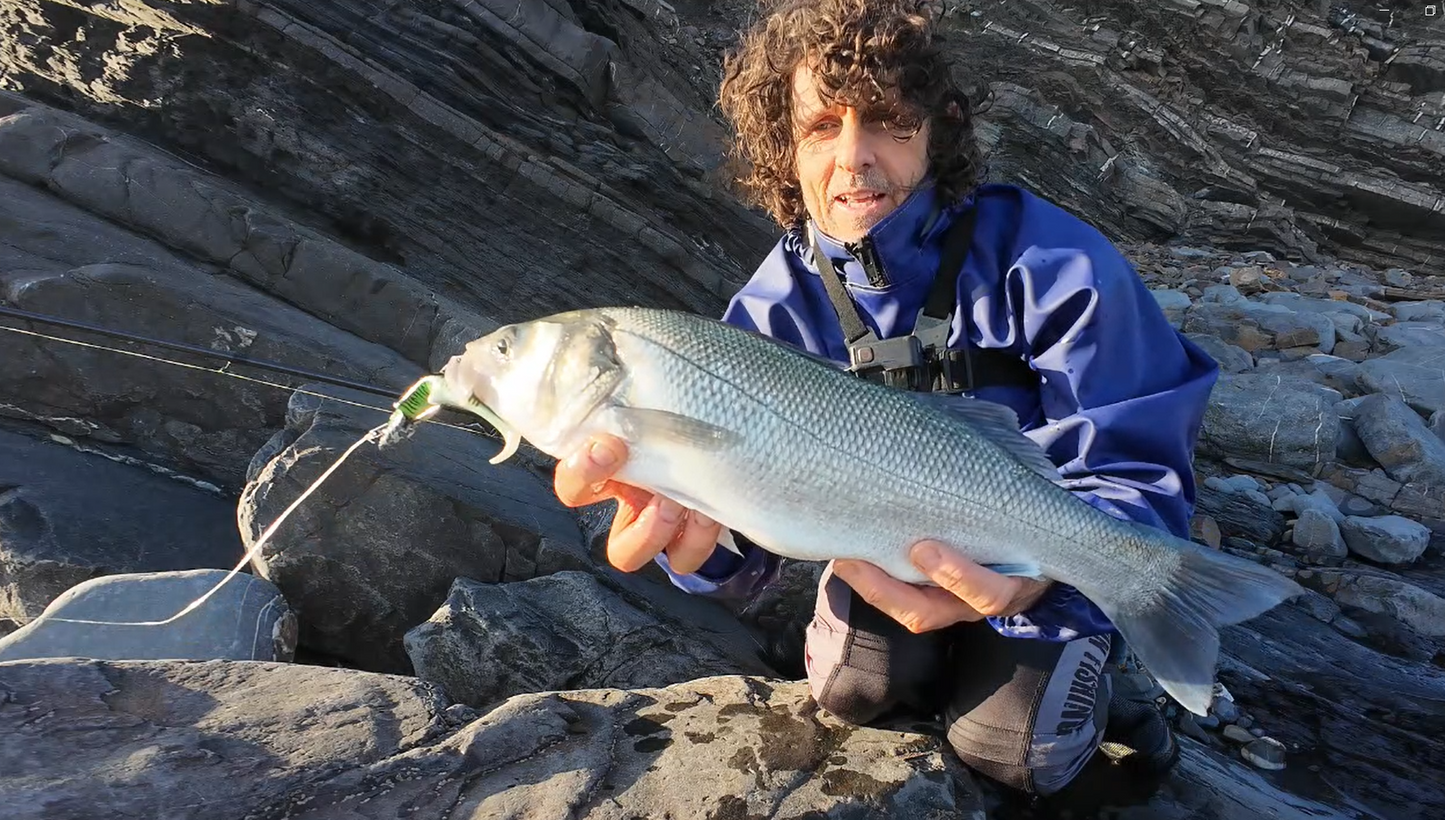 Waylander - Mean Minnow x3 Plastica morbida con Jighead (senza piombo)