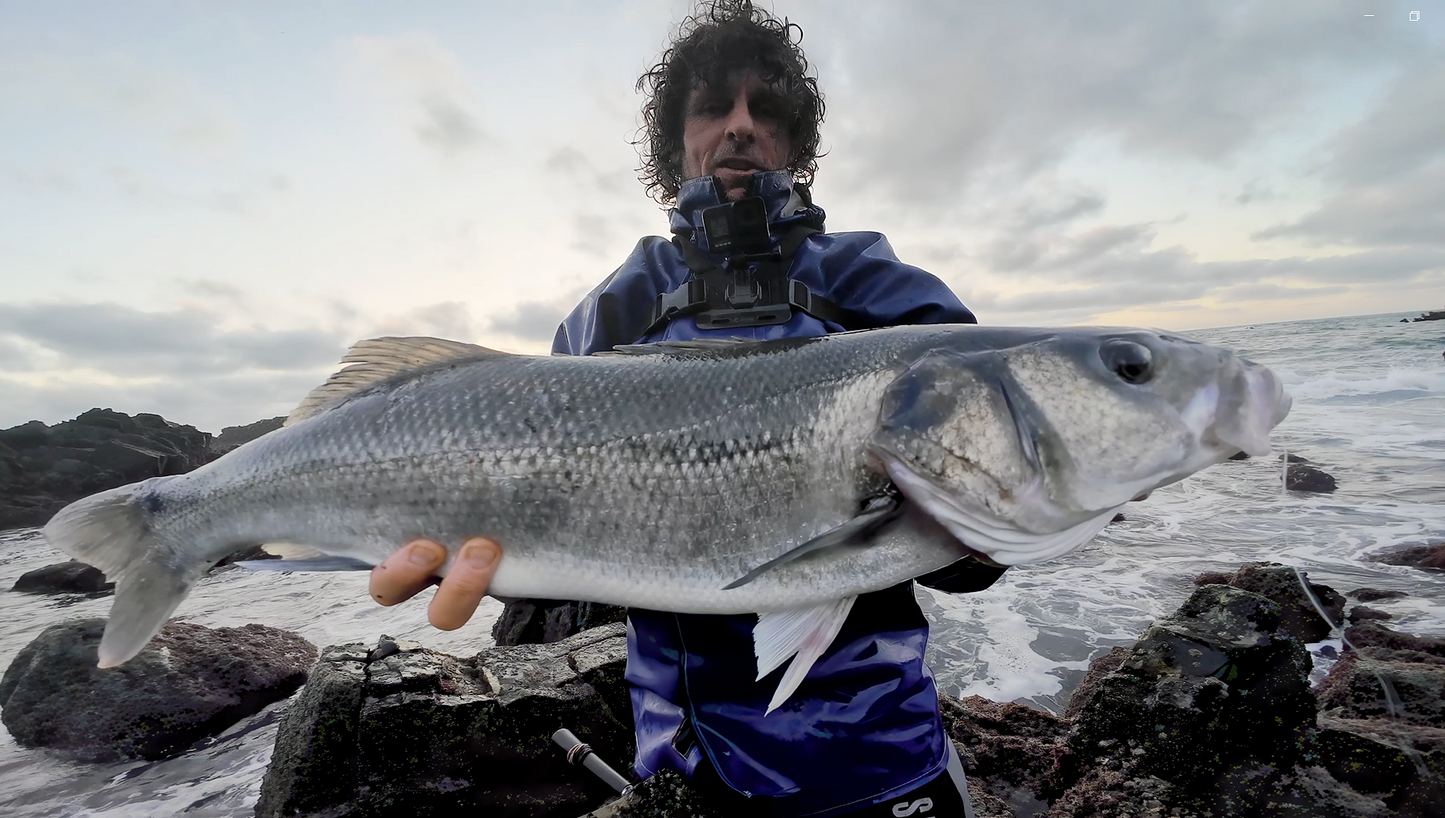 Waylander - Mean Minnow x3 Plastica morbida con Jighead (senza piombo)
