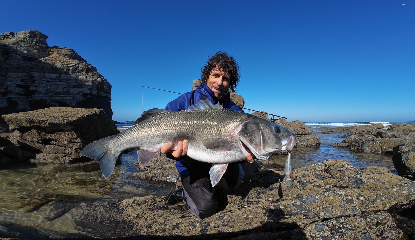 Waylander - Wayward 120 LF Minnow (sans plomb) 