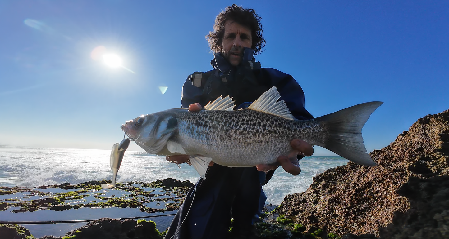 Waylander - Mean Minnow x3 Plastica morbida con Jighead (senza piombo)